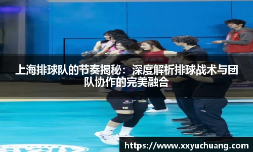 谈球吧